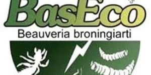 Household Insecticides