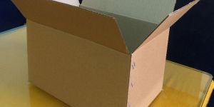 Plain Corrugated Box