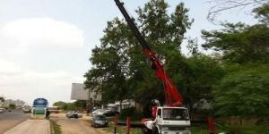 Cherry Picker