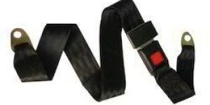 Wheelchairs Seat Belt