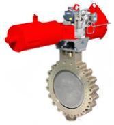 High Performance Butterfly Valve