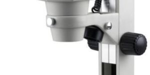 Trinocular Microscope