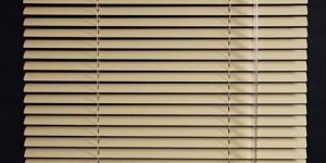 Fancy Window Blinds
