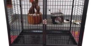 Dog Cage