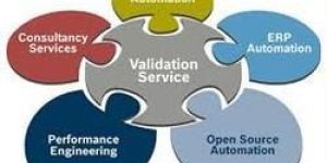 Validation Services