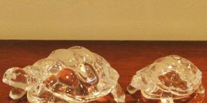 Crystal Turtles