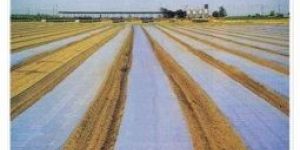 Soil Solarization Film