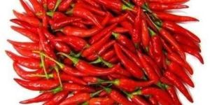 Organic Red Chilli