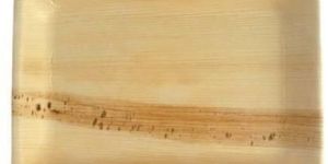 Rectangular Areca Leaf Plate