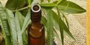 Teatree Aroma Oil