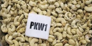 PKW1 Cashew Nuts