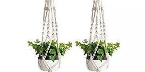 Macrame Plant Hanger