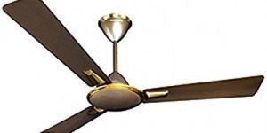 Regular Range Blossom Ceiling Fan