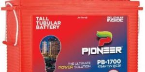 Tall Tubular Battery