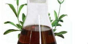 Spikenard Essential Oil