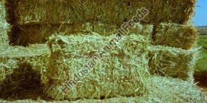 Sorghum Straw
