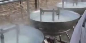 Steam Operated Khoya Plant