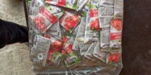 Tomato Ketchup Sachets