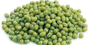 Mung Bean