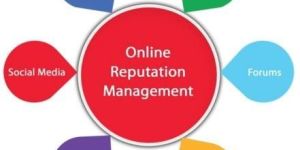 Online Reputation Management Services