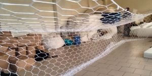 Hexagon Football Net