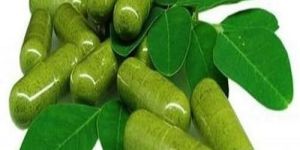 Herbal Moringa Capsule