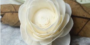 Lotus Sola Wood Flowers