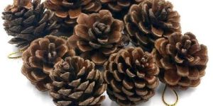 Natural Dried Pine Cones