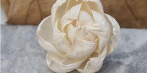 Peony Sola Wood Flowers