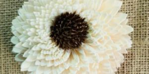 Sun Zinnia Sola Wood Flowers