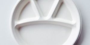 Disposable Round Compartment Plate