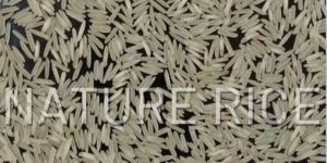 Pusa 1401 Steam Basmati Rice