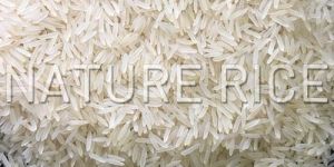 Sugandha White / Creamy Sella Rice