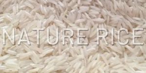 Sugandha White Raw Rice