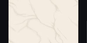 Soluble Salt Vitrified Tiles