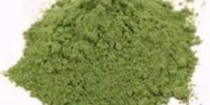 Pista Green Blended Food Color