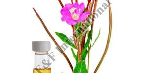 Palmarosa Essential Oil