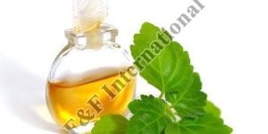 Patchouli Essential Oil