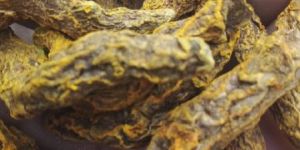 Dried Turmeric Finger