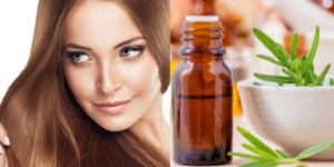 Hair Fall Control Oil