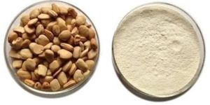 Tamarind Kernel Powder