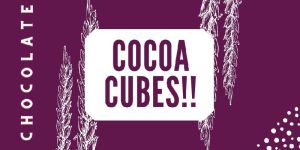 Chocolate Cubes Printed Laminated Pouch