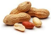 Ground Nuts