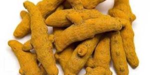 Turmeric Finger
