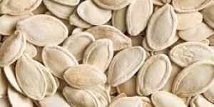 Pumpkin Seeds