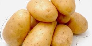 Fresh Table Potatoes