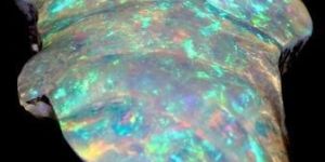 T54 Polished Opal Stones