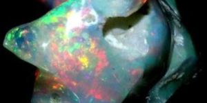 T55 Polished Opal Stones