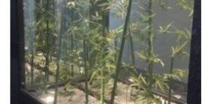 Crack Proof Glass Aquarium