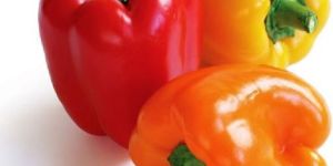 Fresh Bell Pepper